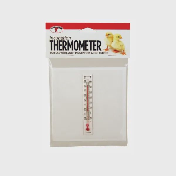 Incubator thermometer