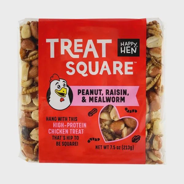 Treat Square Peanut &amp; Rasin