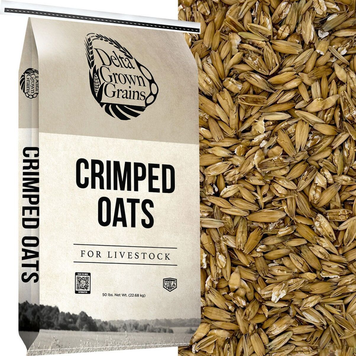 Steam Crimped Oats 50#