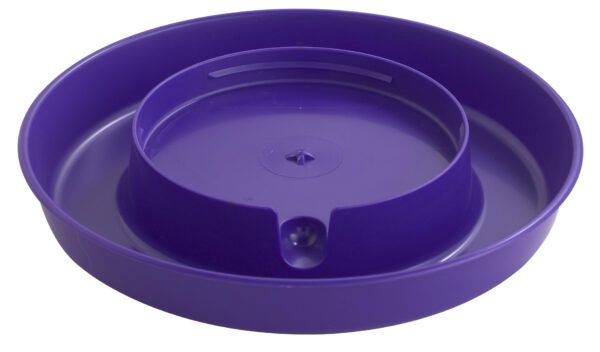 Gal Water Base PURPLE