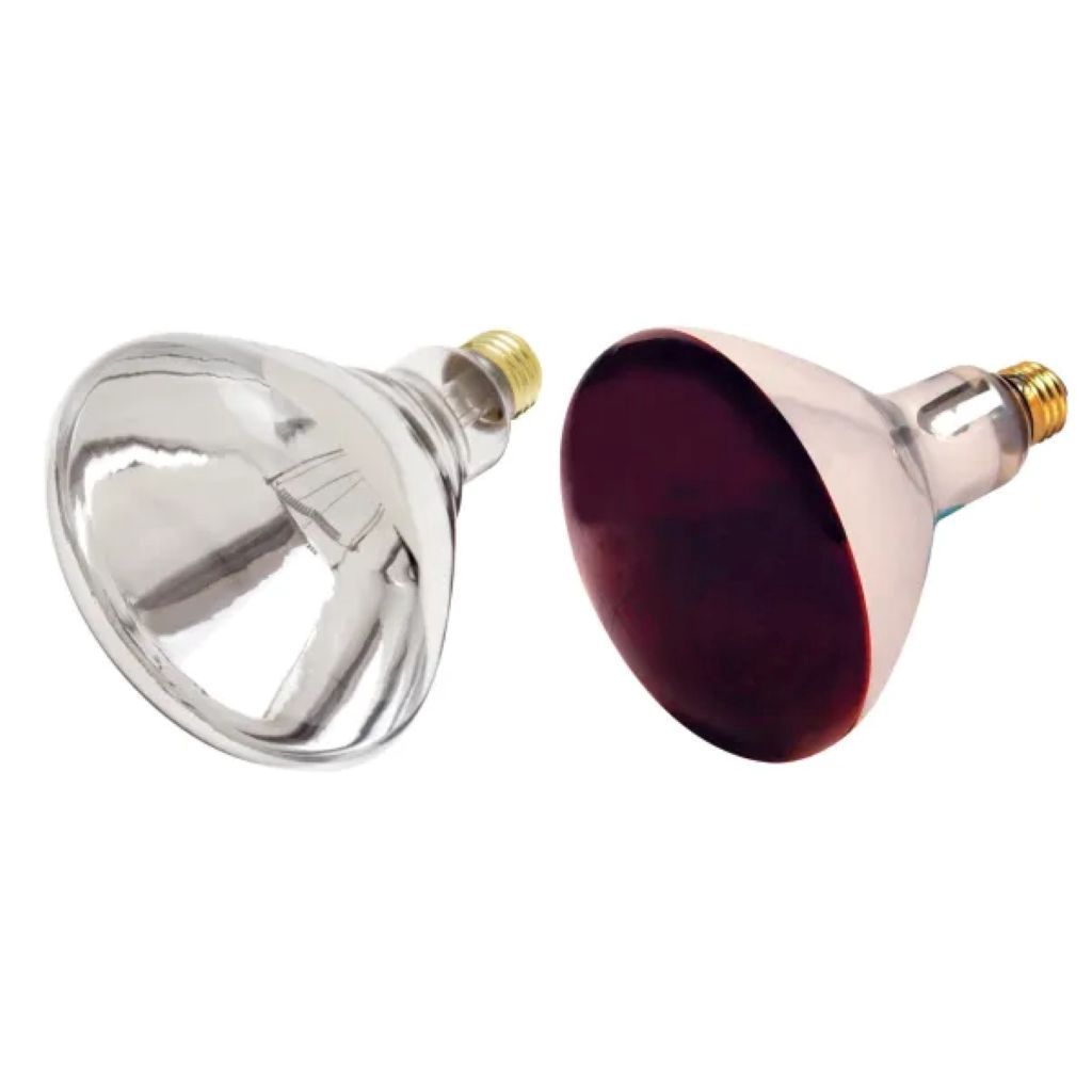 Light Bulb :  CLEAR Satco 250 watt