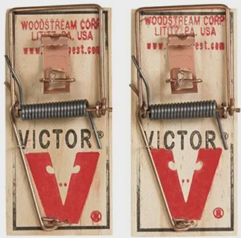 Victor Wooden Mouse Trap 2pk