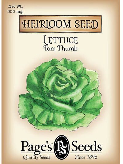 Lettuce Tom Thumb 500mg