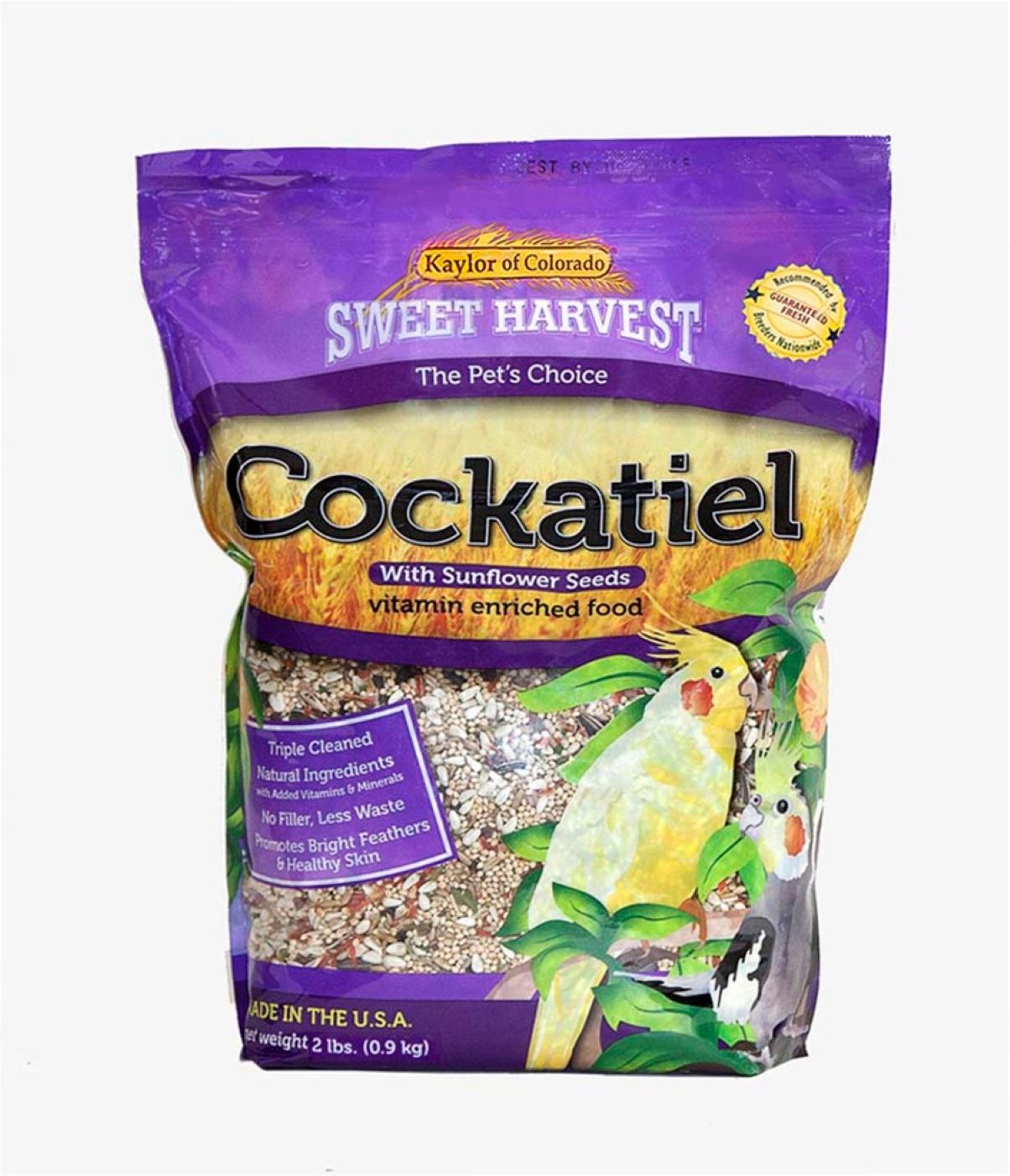 Sweet Harvest Cockatiel 2#