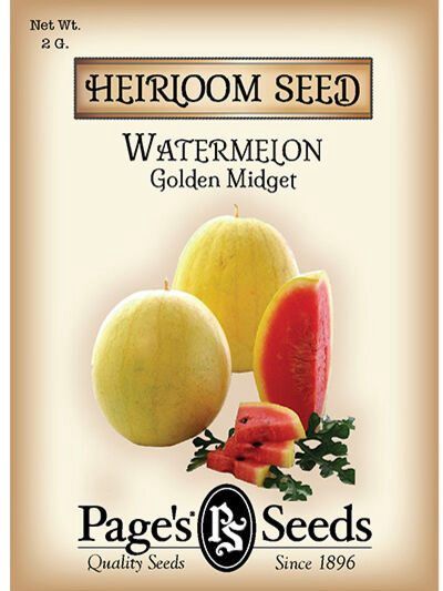 Watermelon Golden Midget 2g