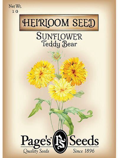 Sunflower Teddy Bear 1g
