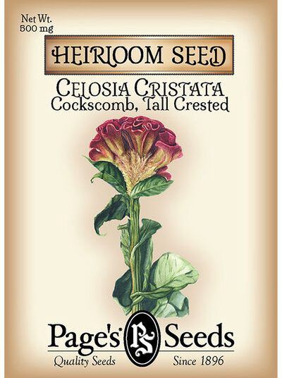 Celosia Cristata 500mg