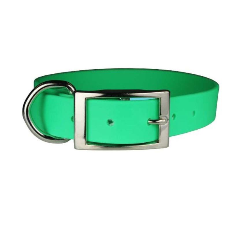 Collars + Leashes