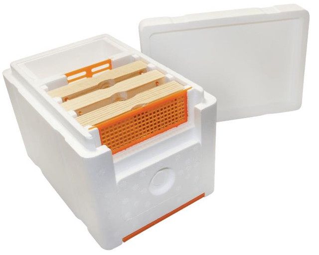 Queen Mating Box Styrofoam