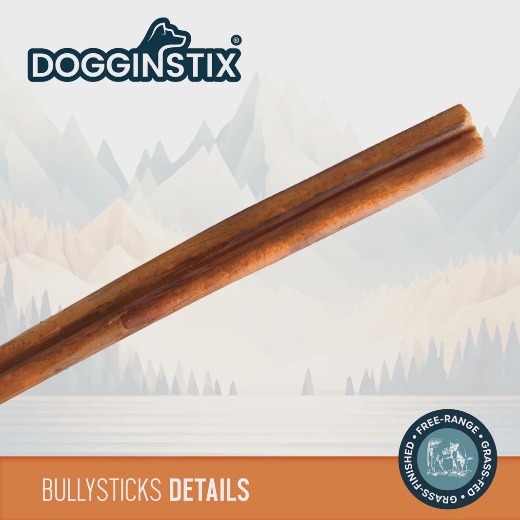 DogginStix Bully Stick 6"