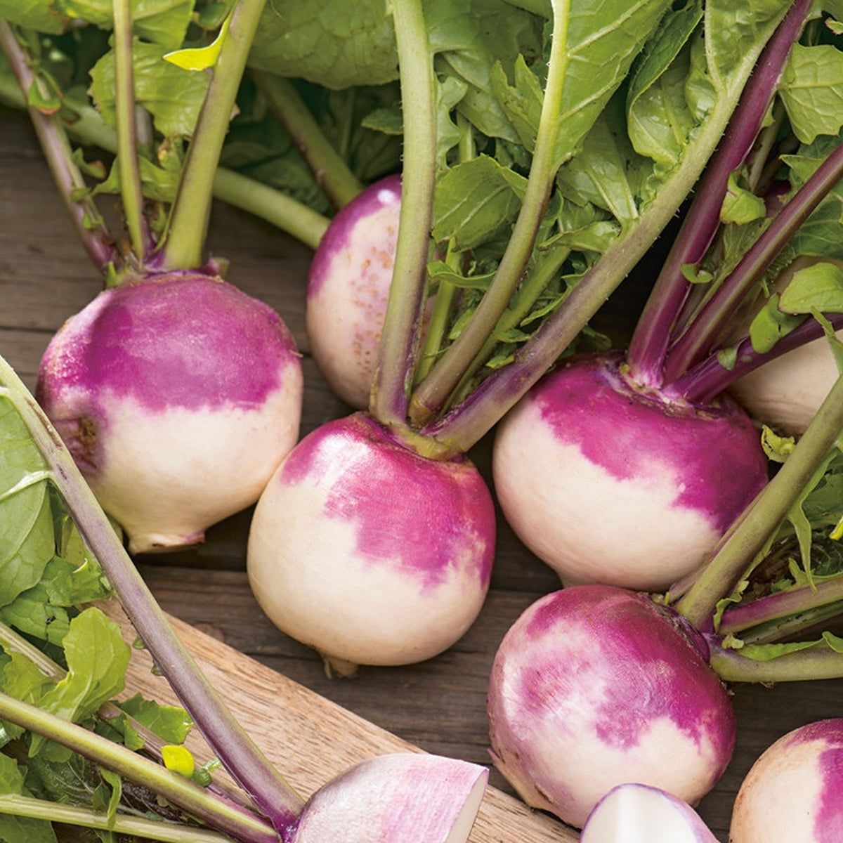 Purple Top Turnip 50#
