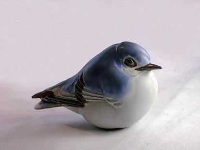 Western Mountain Bluebird, Large , 1st