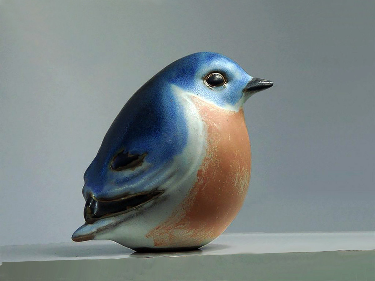 Eastern Bluebird, Round