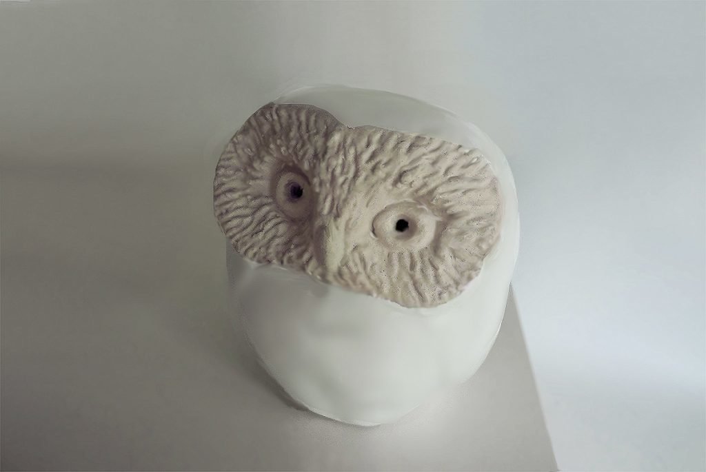 Sawhet Owl, White