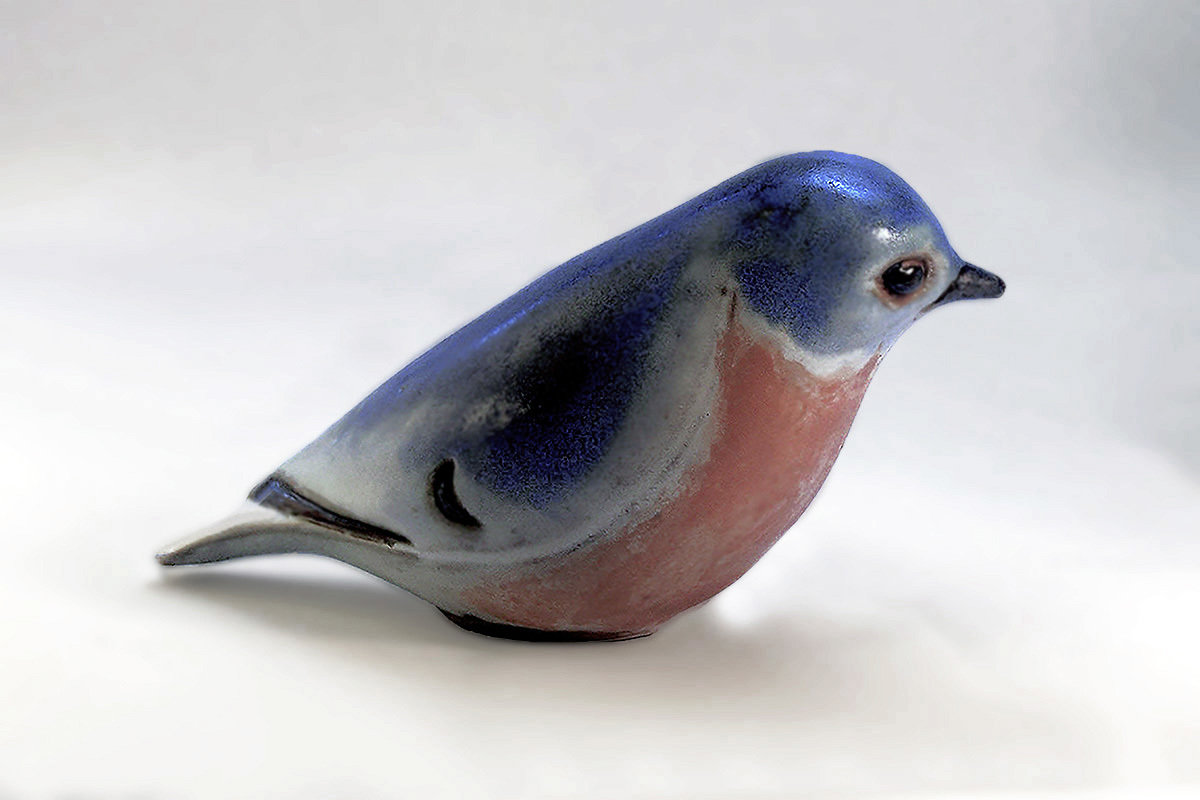 Eastern Bluebird, slender,