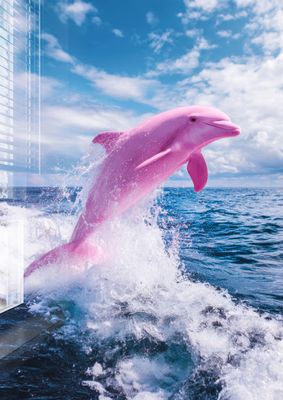 Pink Dolphin