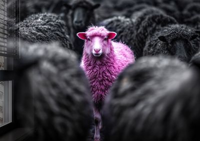 Be different