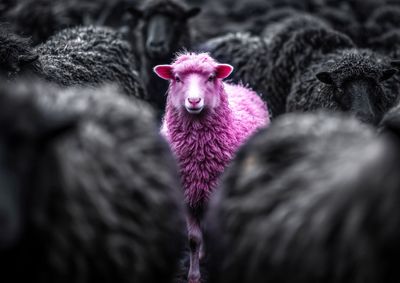 Be different