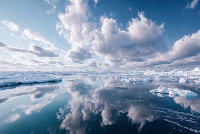 Ice Field