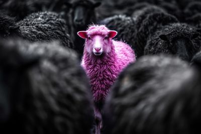 Be different