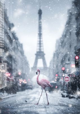Flamingoin Paris