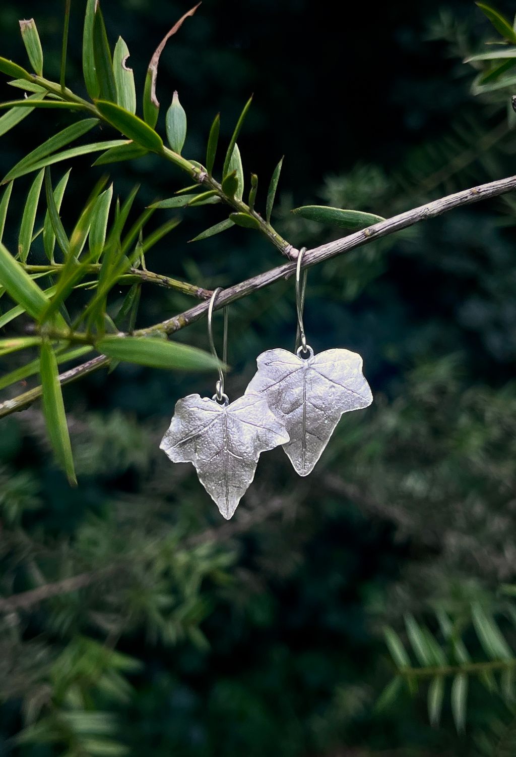 Silver Ivy Leaf Earrings