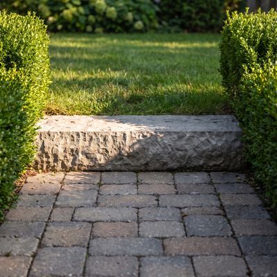 Rough stone step riser set into a garden path with pavers below and clipped boxwood behind.