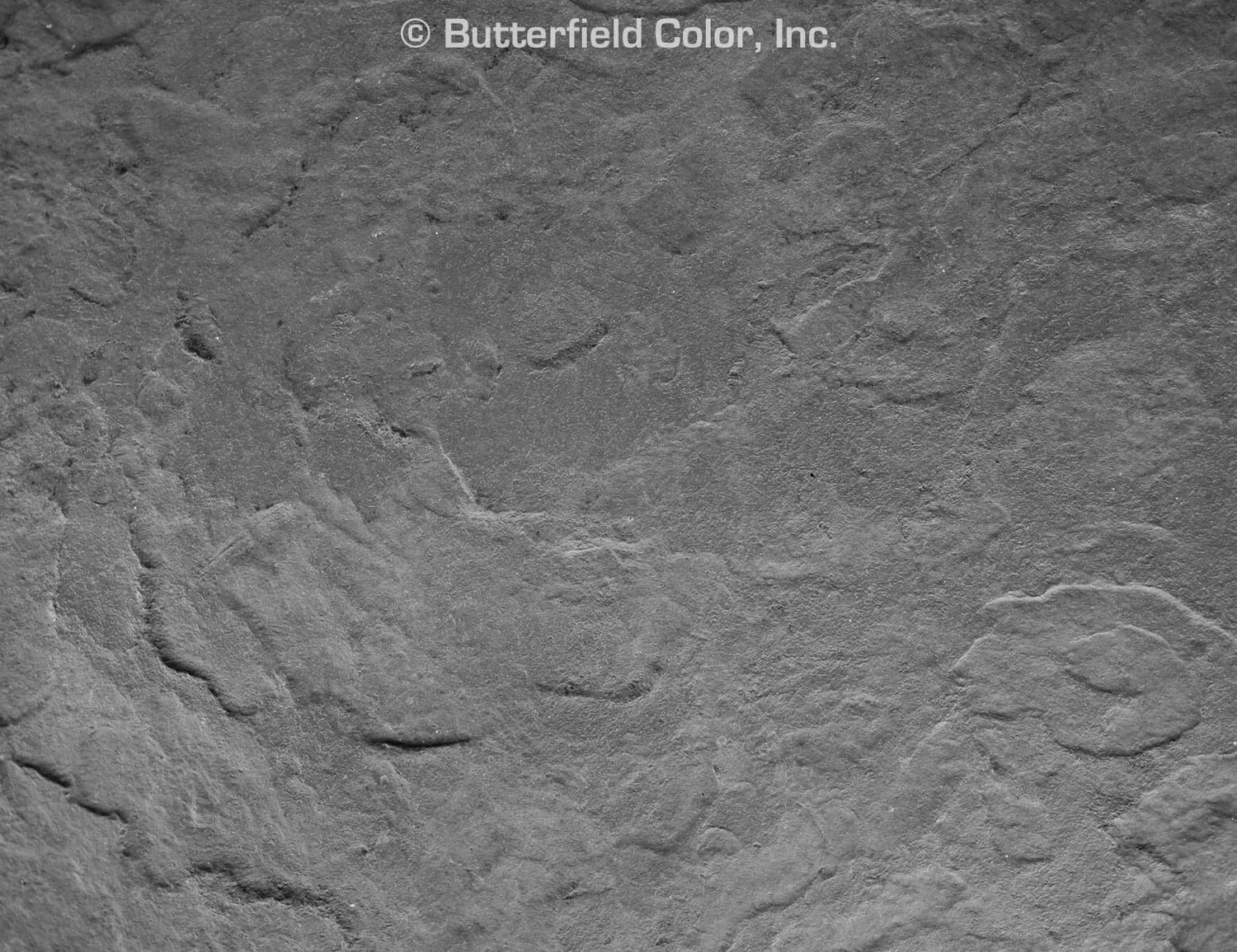 Stamp Rental_Texture Skin_Set, Type: Blue stone