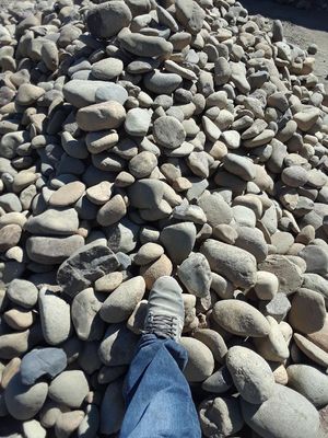 R  2"-6" Round Cobble - Yard