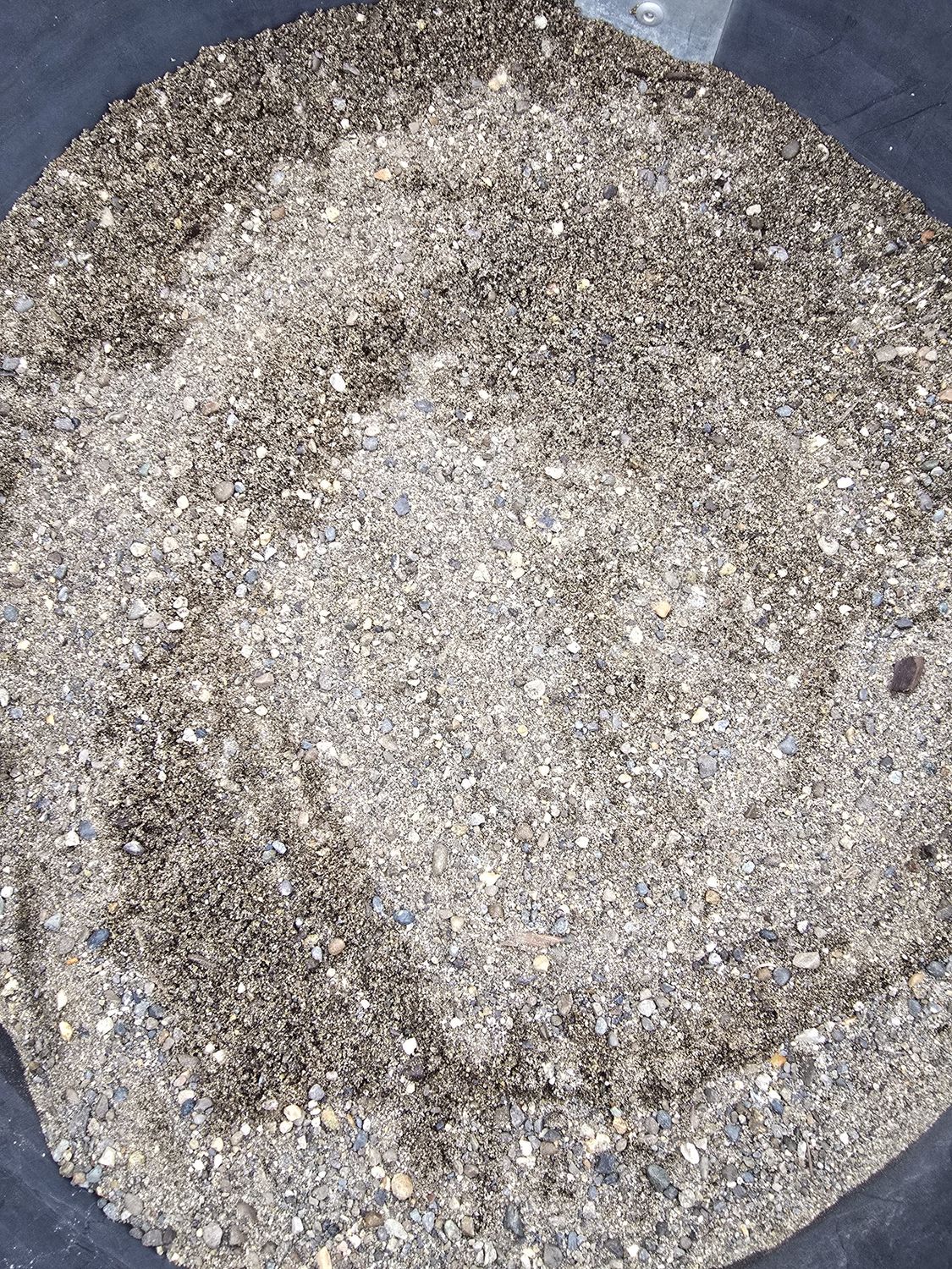 W Concrete Sand_Full load (12Yds)