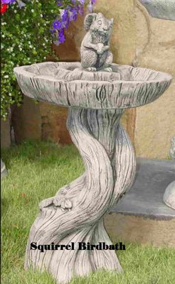 Squirrel bird bath