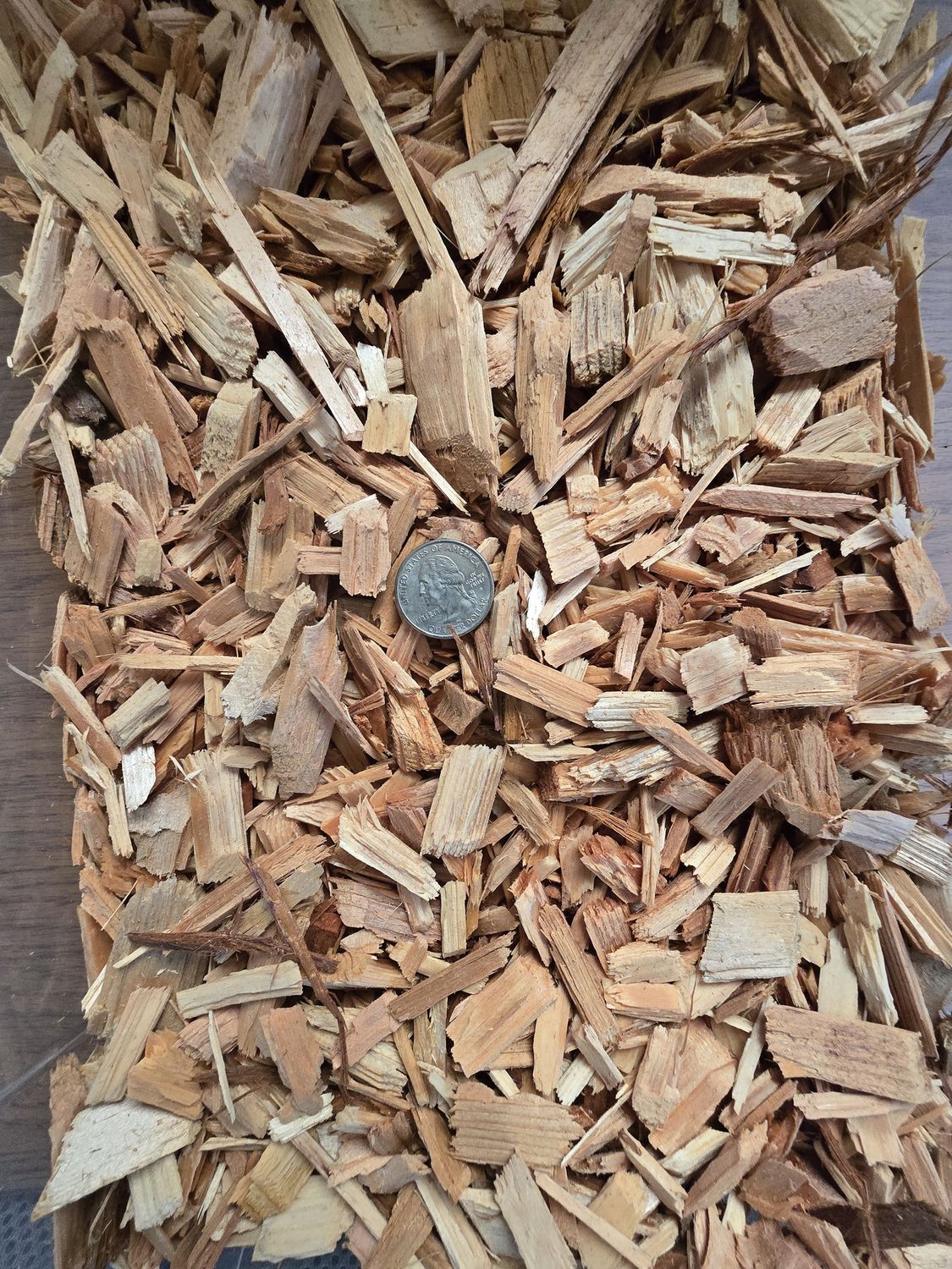 Playground Chips