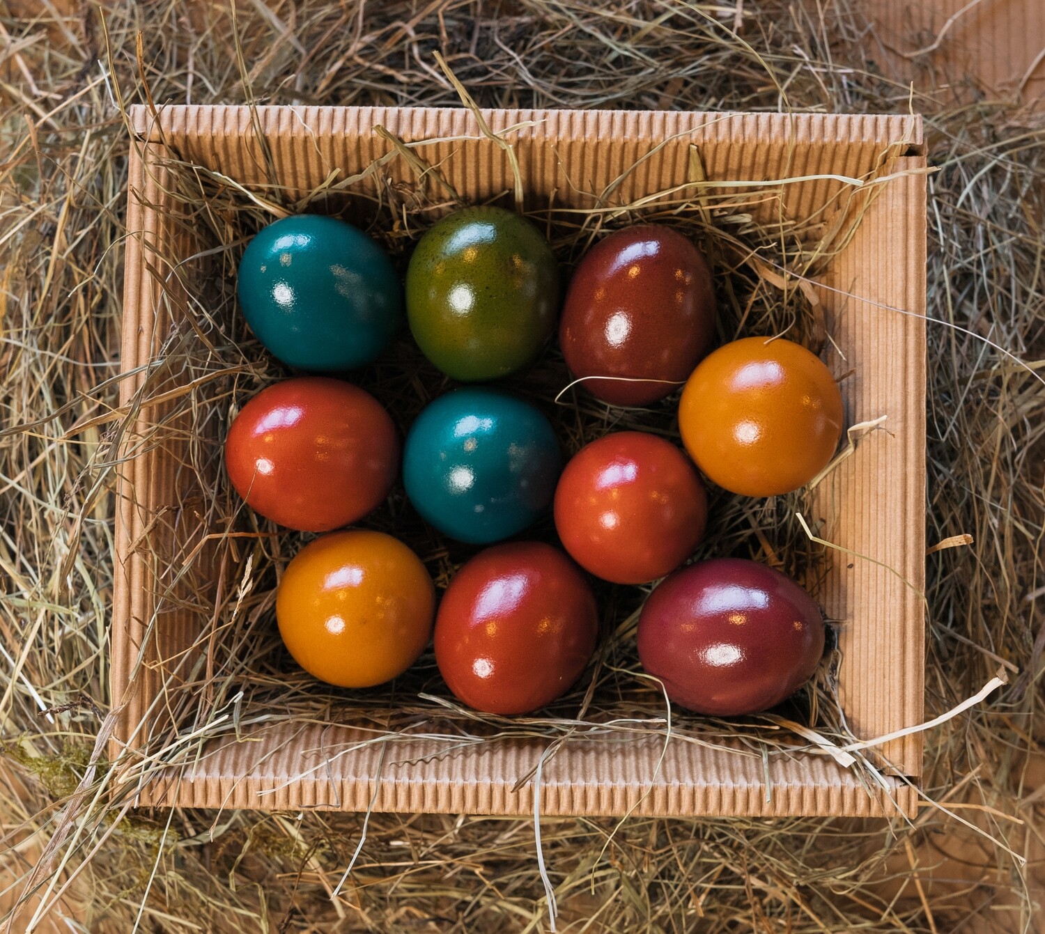 Bio-Ostereier - Fam. Obereder vlg. Schnitzer Bio-Ostereier - Fam. Obereder vlg. Schnitzer