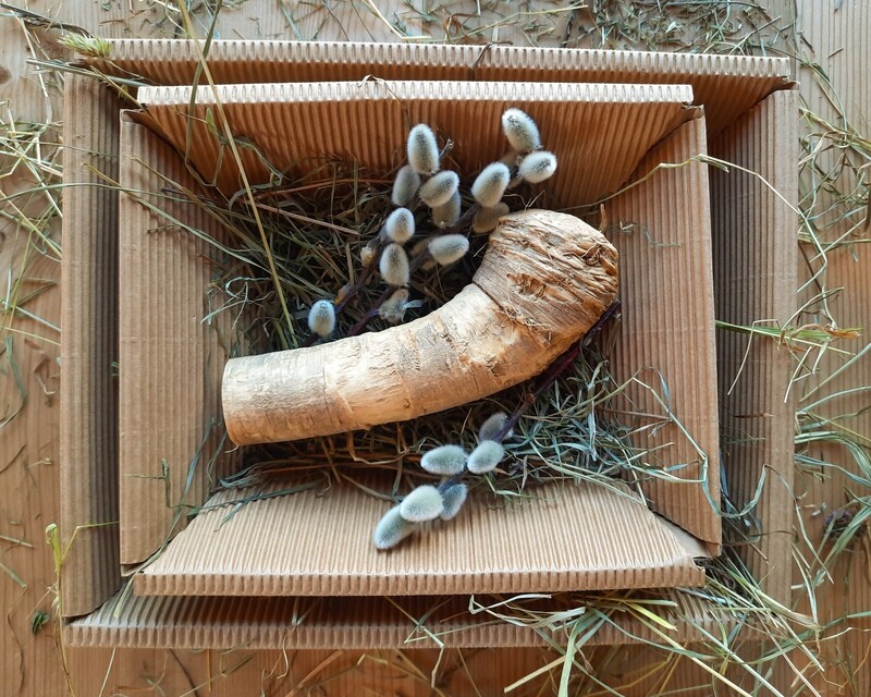 Bio-Krenwurzel vom Fink