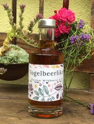 Feine Liköre - Kärntner Wildbeeren & Co
