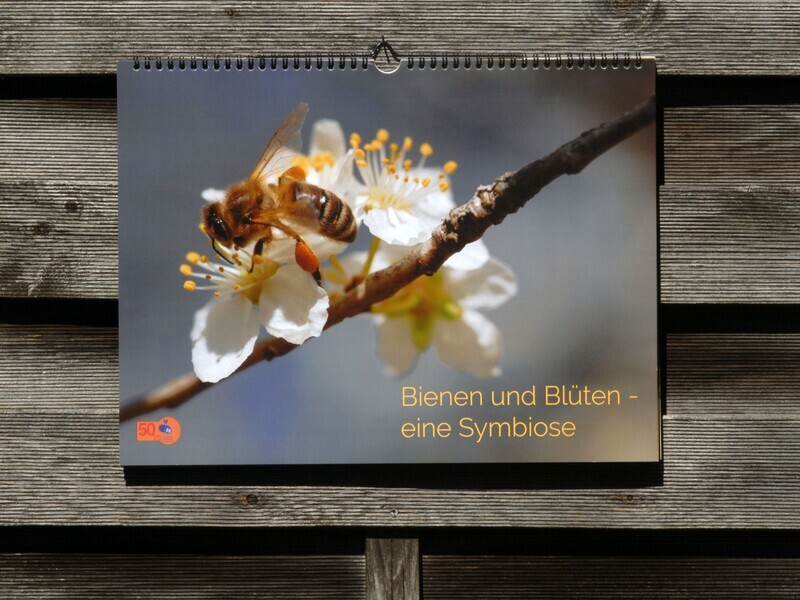 Bienen und Blüten Kalender (40x30 cm)