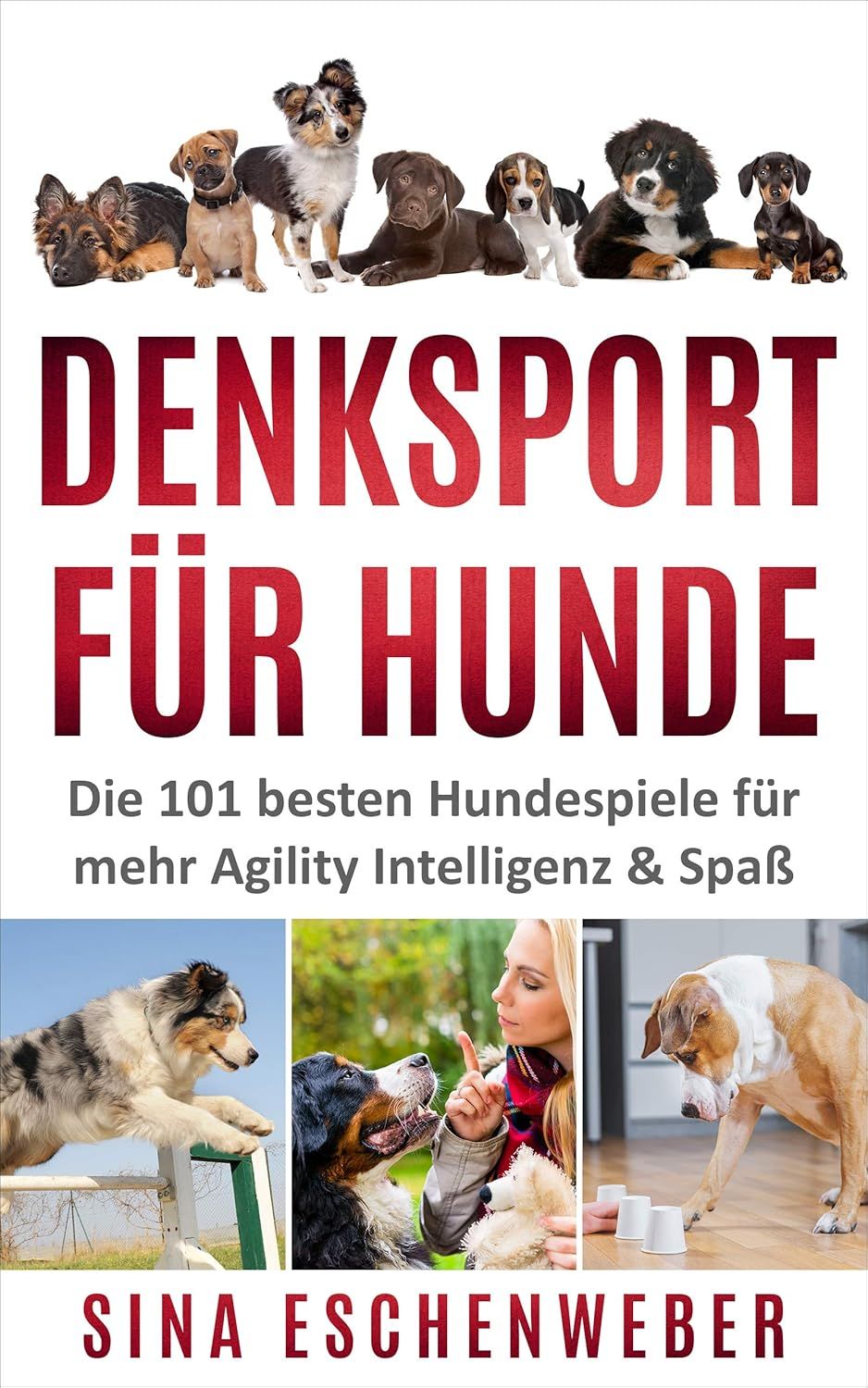 DENKSPORT FÜR HUNDE: Die 101 besten Hundespiele für mehr Agility Intelligenz &amp; Spaß (Hunderatgeber) (German Edition)