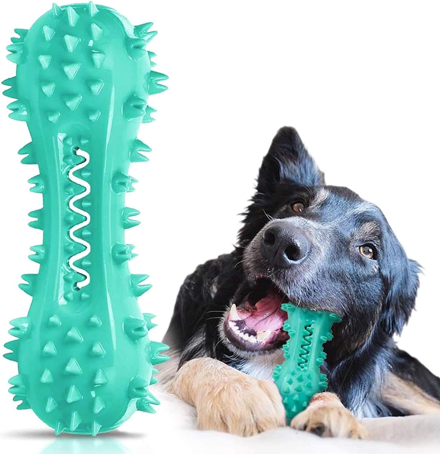 Toothbrush for Dogs - Bone Chew Toy with Handle - Brushing and Chewing - Small, Medium and Large - Blue