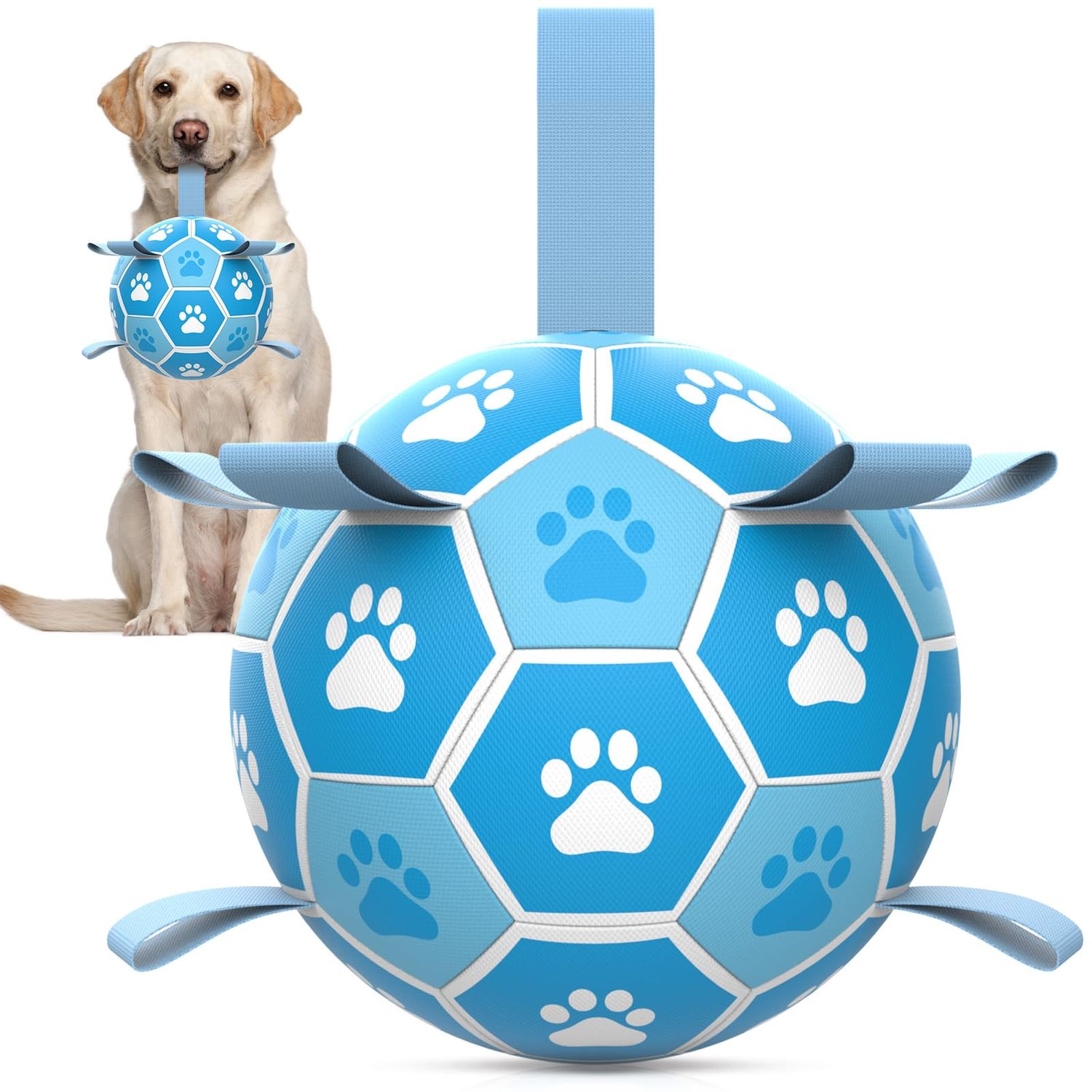 HETOO Dog Ball, Dog Toy Ball with Handle for Dogs, Interactive Tug-of-War, Water Dog Balls, Toy, Birthday Gift for Small/Medium Dogs, Light Blue (15.24 cm)