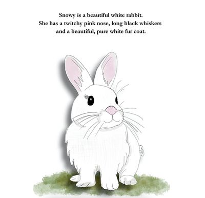 Book 2 Snowy Rabbit