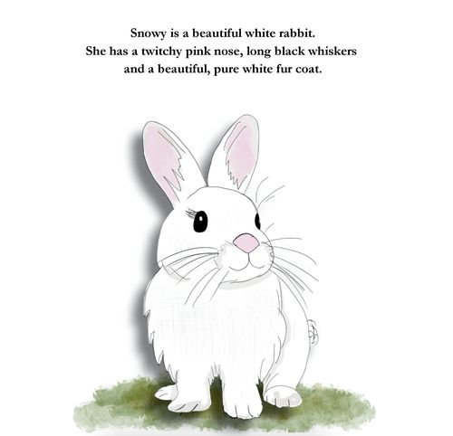 Book 2 Snowy Rabbit