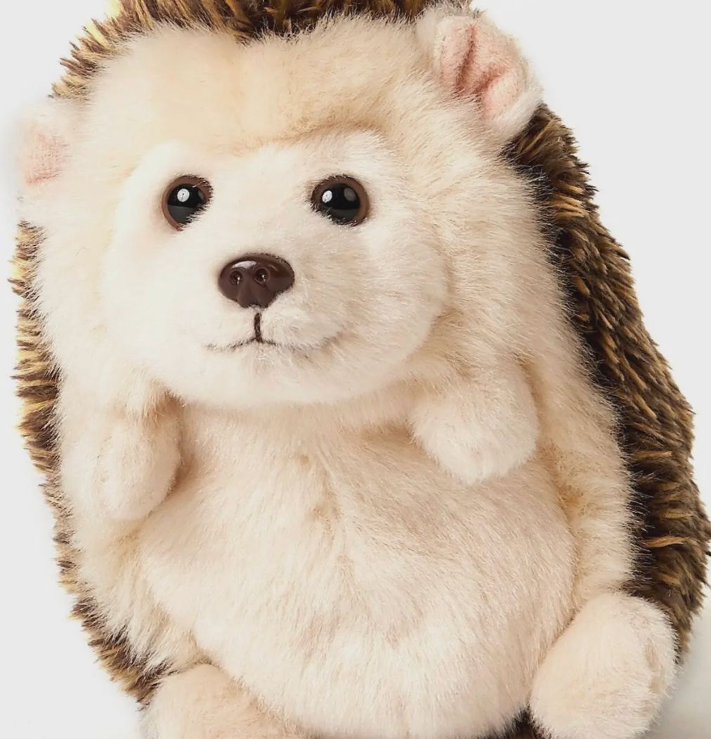 Plushy Hedgehog