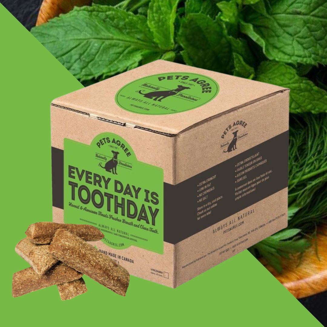 Every Day is Toothday! Mint &amp; Parsley Large Dog Biscuit Treats 2lb