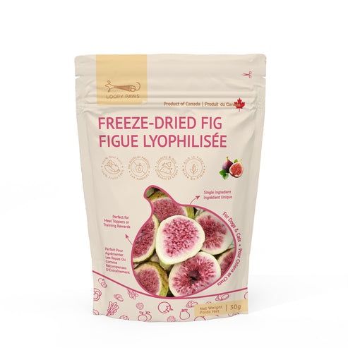 Freeze Dried Fig