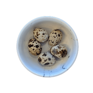 Freeze Dried Whole Quail Eggs