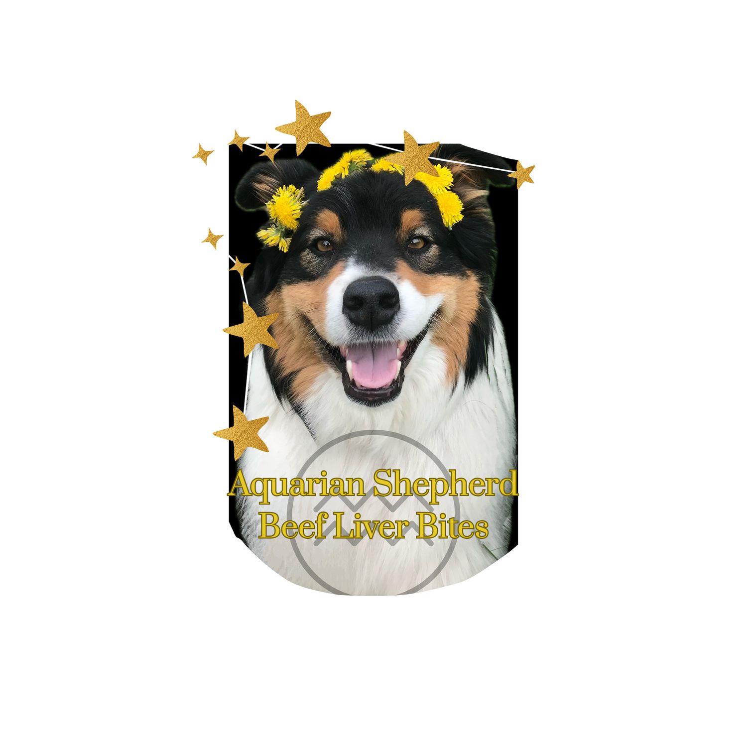 Aquarian Shepherd Beef Liver Bites