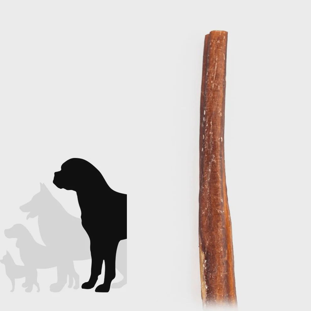 12" Monster Bully Stick OOT