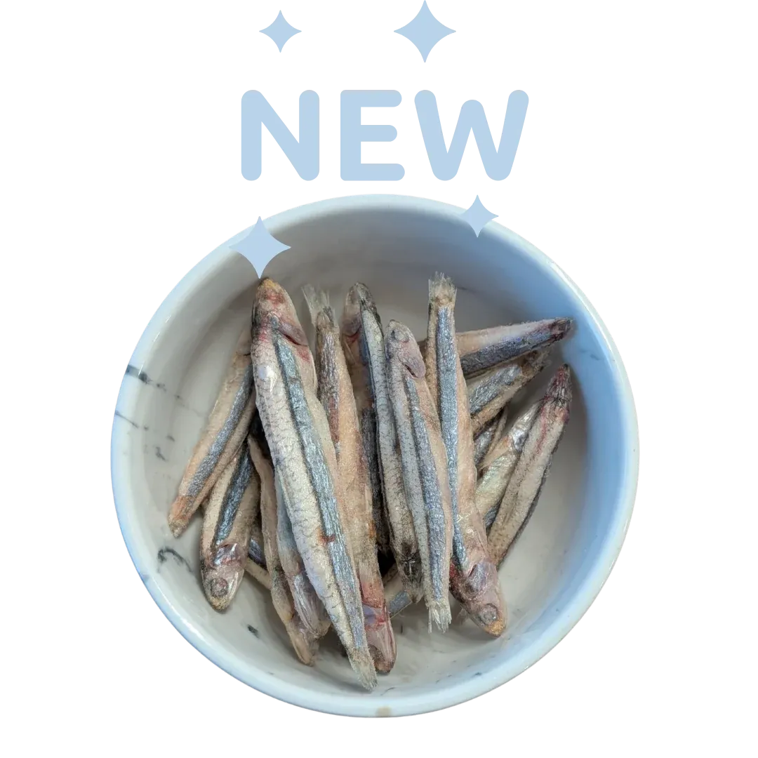 Freeze Dried Anchovies