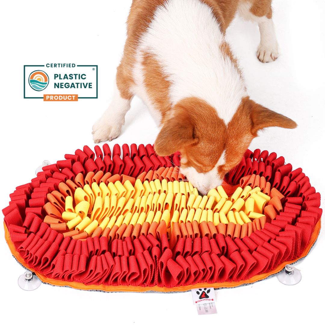 Fire &amp; Ice™ Anti-Bite (Fire) Snuffle Mat | Level 2 For Dogs