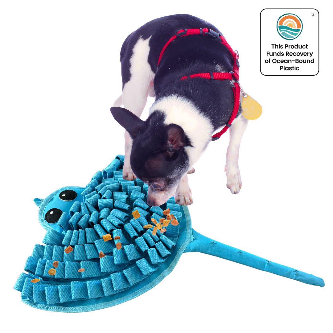 Sassy Stingray by LuvMyFido | Interactive Dog / Cat Mat